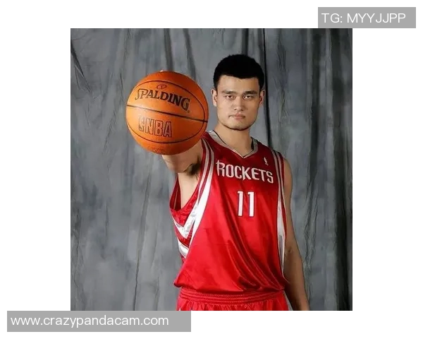 姚明2019年精彩传球瞬间回顾与分析展现篮球巨星的团队精神与技术魅力