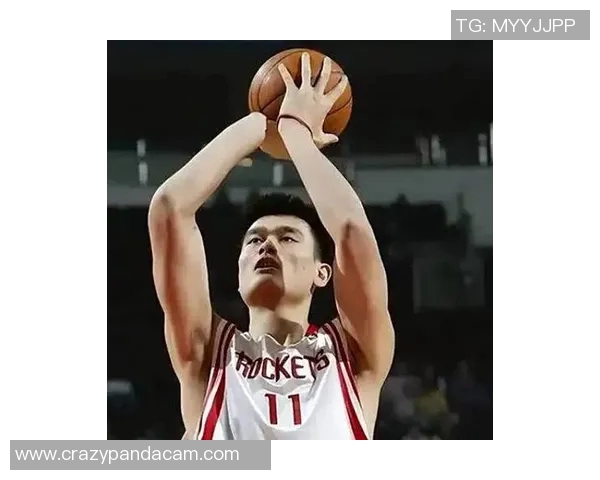 姚明回手掏的传奇瞬间解析与篮球技巧的深度剖析 姚明回手掏的传奇瞬间解析与篮球技巧的深度剖析