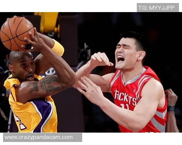 姚明巅峰速度的传奇时刻与篮球生涯的辉煌成就探讨