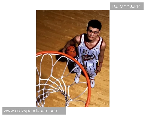 内线巨兽姚明的传奇之路与篮球梦想的辉煌篇章