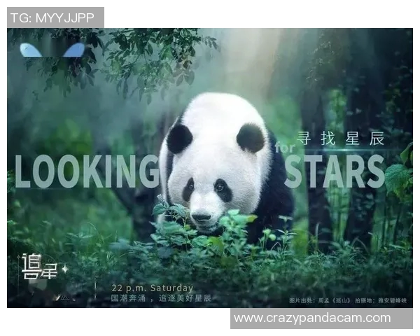 足球明星温暖行动认养熊猫视频传递爱心与环保理念