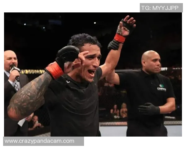 全球格斗体育明星排名揭晓谁将成为新一代冠军之星