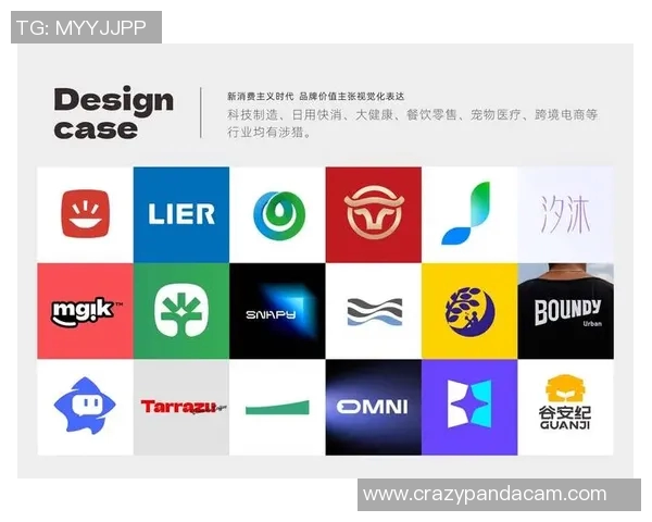 胡云峰足球明星盘点及其成就分析与影响力探讨