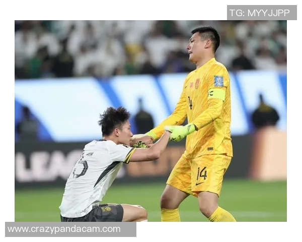 2017年亚洲足球明星的辉煌成就与影响力分析 2017年亚洲足球明星的辉煌成就与影响力分析