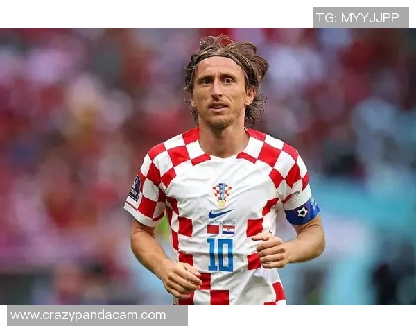 姓李的足球明星有哪些值得关注的球员及他们的成就与影响力分析