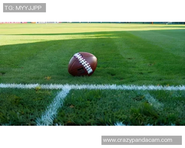 走进绿茵场：与国际足球明星的深度对话与故事分享