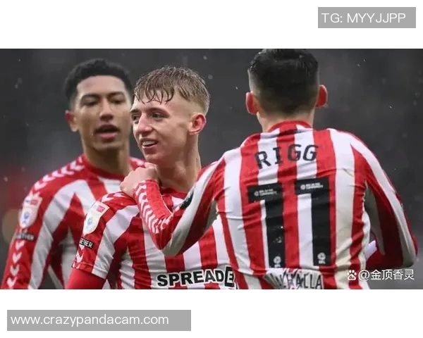 黑猫足球明星究竟是谁引发了球迷们的热烈讨论与关注