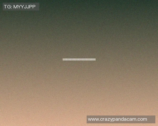 篮球明星与粉丝冲突引发热议揍人事件背后的真相与反思