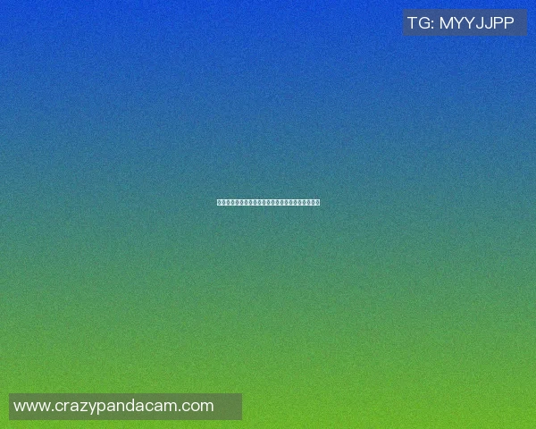 篮球明星卡通猴的奇幻冒险之旅与梦想成真的篮球赛 篮球明星卡通猴的奇幻冒险之旅与梦想成真的篮球赛