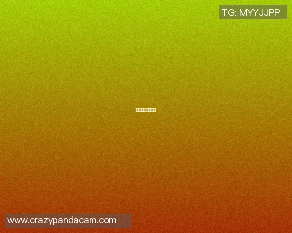 篮球明星全局比赛